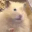 ネネのプロフィール画像