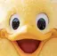 はるのプロフィール画像