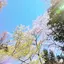 seのプロフィール画像