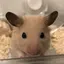 加奈のプロフィール画像