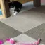 Taioriのプロフィール画像