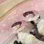 ﾐﾉﾘのプロフィール画像