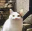 nのプロフィール画像