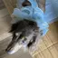 由美のプロフィール画像