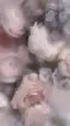 manaのプロフィール画像