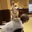 陽香のプロフィール画像