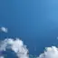 しゃにーのプロフィール画像