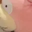 もいのプロフィール画像