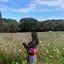りんのプロフィール画像