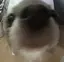 とおあのプロフィール画像