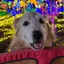 こーたのプロフィール画像