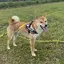 よしたかのプロフィール画像