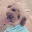 しおりのプロフィール画像
