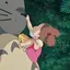 ミズタマリのプロフィール画像