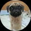 あねらのプロフィール画像
