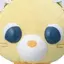 cのプロフィール画像