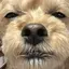 むのプロフィール画像