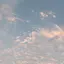 サキのプロフィール画像