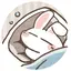 momoのプロフィール画像
