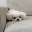 sayaのプロフィール画像