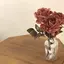 cocoasuのプロフィール画像