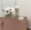 ひかりのプロフィール画像