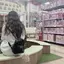 みうのプロフィール画像