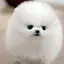 まみのプロフィール画像