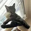 ゆきのプロフィール画像