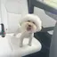 ゆきのプロフィール画像