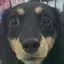 なおみのプロフィール画像