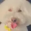 さちんのプロフィール画像