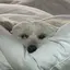 まなのプロフィール画像