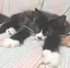 maのプロフィール画像