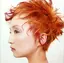 ayamiのプロフィール画像