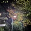 クドのプロフィール画像
