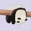 YUNAのプロフィール画像