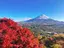 chiiiのプロフィール画像
