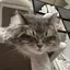 熙のプロフィール画像