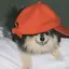 まきのプロフィール画像