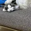 こなつのプロフィール画像