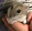 みちゅこのプロフィール画像