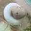 はなたにのプロフィール画像