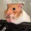 まこのプロフィール画像