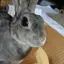はるかのプロフィール画像