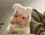 Ayuのプロフィール画像