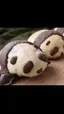 ナチュのプロフィール画像