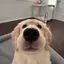 kのプロフィール画像