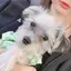 さーもんのプロフィール画像