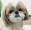 ふーみんのプロフィール画像